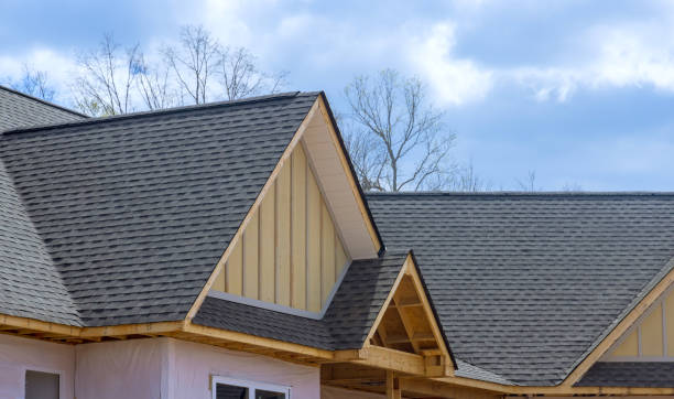 Best Metal Roofing Installation  in Papillion, NE